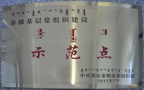 2012市級基層黨組織建設(shè)示范點(diǎn)